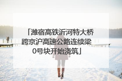 潍宿高铁沂河特大桥跨京沪高速公路连续梁0号块开始浇筑